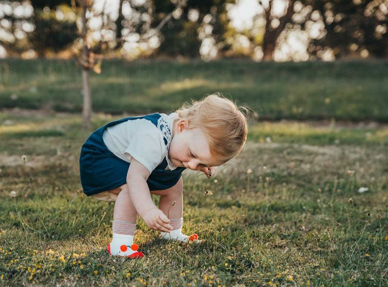 Sweet Cherry Sweet Cherry