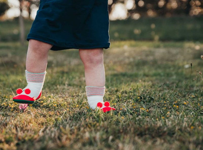 Sweet Cherry Sweet Cherry